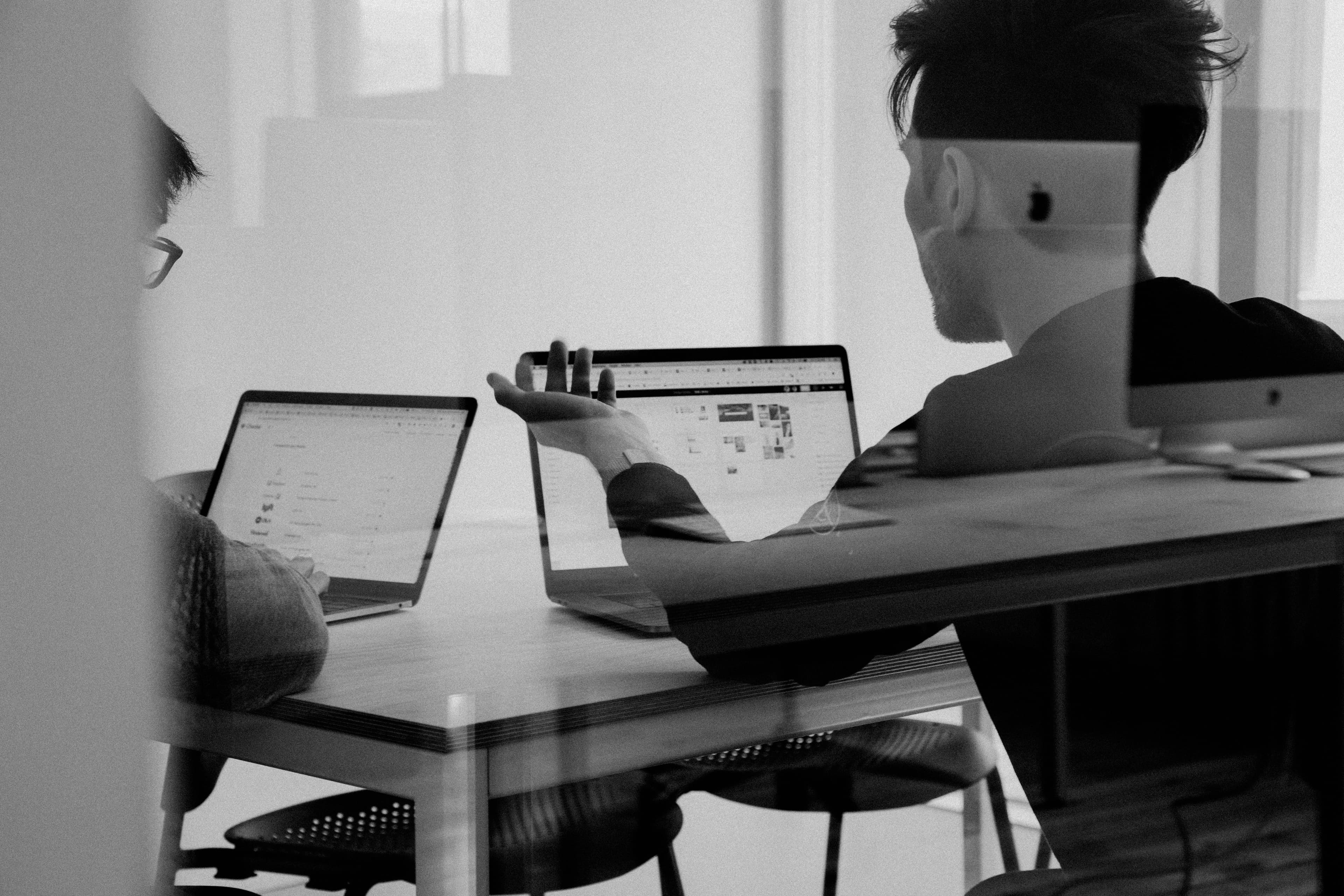 root banner of the blog